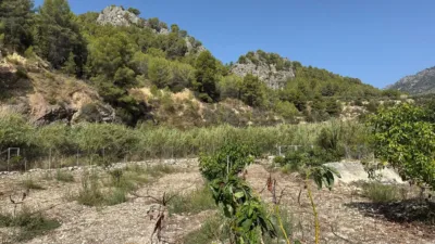 Finca rústica en Callosa d'en Sarrià photo 33