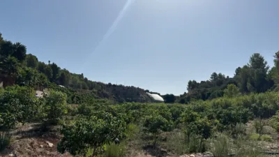 Finca rústica en Callosa d'en Sarrià photo 32