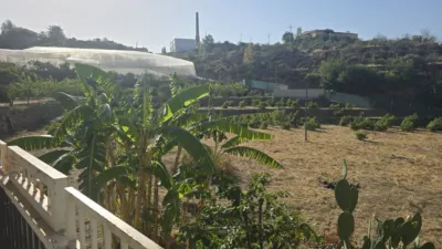 Rustic finca in Callosa d'en Sarrià photo 18