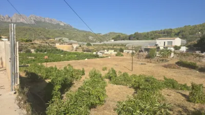 Rustic finca in Callosa d'en Sarrià photo 12