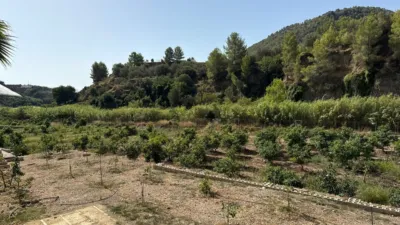 Finca rústica en Callosa d'en Sarrià photo 20