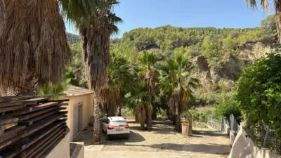 Finca rústica en Callosa d'en Sarrià photo 13