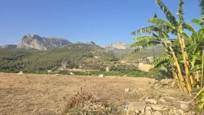 Rustic finca in Callosa d'en Sarrià photo 9