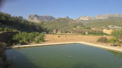 Rustic finca in Callosa d'en Sarrià photo 20