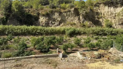 Finca rústica en Callosa d'en Sarrià photo 31