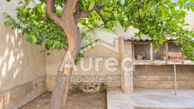 Apartment in Centro photo 21