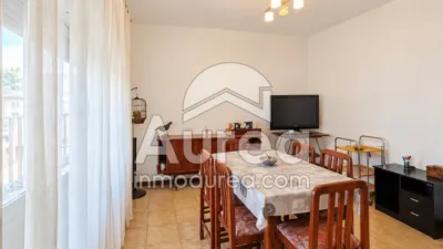 Apartment in Centro photo 11