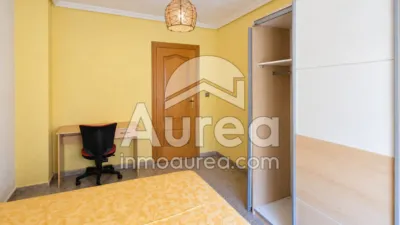 Apartment on Alcalde Felipe Mallol photo 3