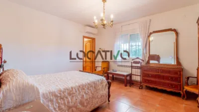 Chalet in Colmenarejo photo 39