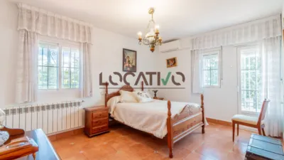 Chalet in Colmenarejo photo 55