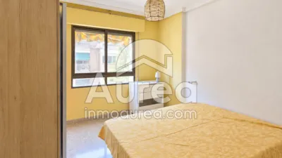 Apartment on Alcalde Felipe Mallol photo 2
