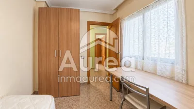 Apartment on Alcalde Felipe Mallol photo 5