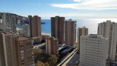 Apartment on Avenida del Mediterráneo photo 5