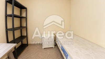 Apartment on Alcalde Felipe Mallol photo 4
