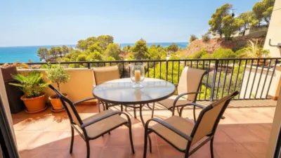 Apartment in Mascarat photo 8