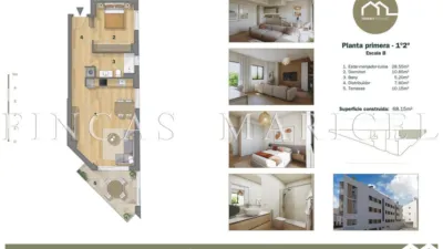 Apartment in Vallpineda-Santa Bàrbara photo 3