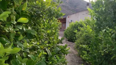 Chalet in Santomera photo 31