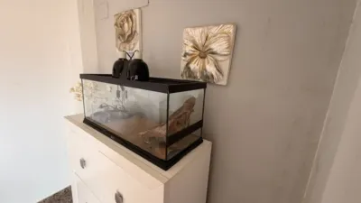 Apartment in Alberic photo 20