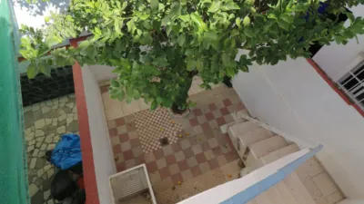 Apartment in Bellavista photo 25