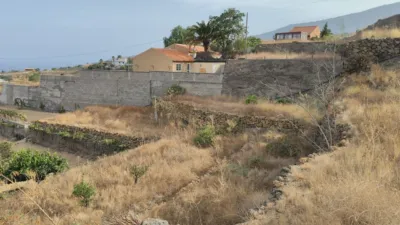 Rustic farm in Arafo photo 10