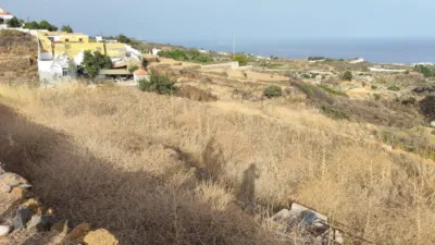 Rustic farm in Arafo photo 9