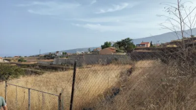 Rustic farm in Arafo photo 4