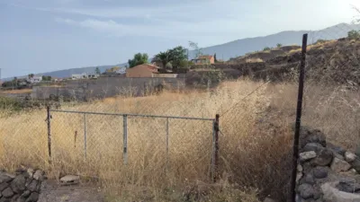 Rustic farm in Arafo photo 3