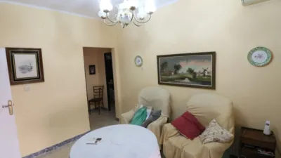 Apartment in Bellavista photo 7