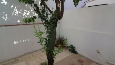Apartment in Bellavista photo 28