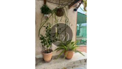 Rustic Finca in Centro-Corredera photo 11