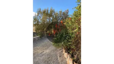 Rustic Finca in Centro-Corredera photo 3