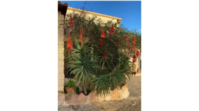 Rustic Finca in Centro-Corredera photo 2