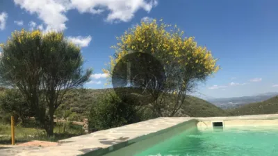 Rustic Finca in Centro-Corredera photo 8