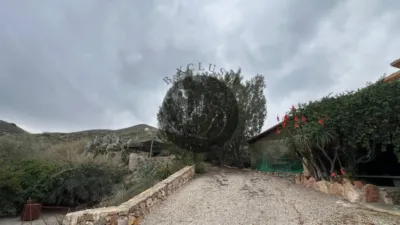 Rustic Finca in Centro-Corredera photo 31