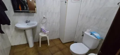 Miniatura 11