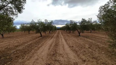 Finca rústica en Casa Los Molinos photo 5