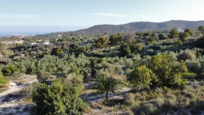 Rustic Finca in the Finestrat Area photo 15