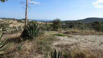 Rustic Finca in the Finestrat Area photo 2