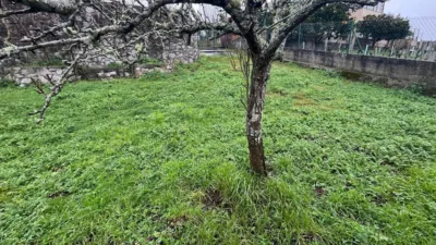 Casa – Paderne, Paderne de Abaixo - Vista 3