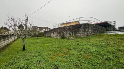 Chalet in Adragonte photo 7