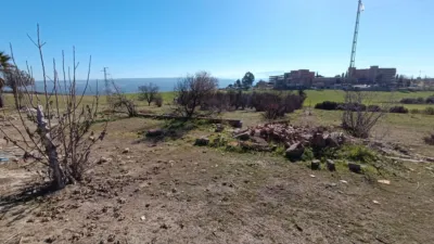 Rustic Finca in La Paz-Las Américas-Estación Linares-Baeza photo 12