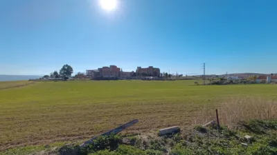 Rustic Finca in La Paz-Las Américas-Estación Linares-Baeza photo 13