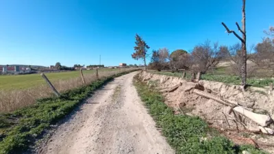 Rustic Finca in La Paz-Las Américas-Estación Linares-Baeza photo 14