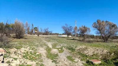 Rustic Finca in La Paz-Las Américas-Estación Linares-Baeza photo 5