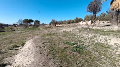 Rustic Finca in La Paz-Las Américas-Estación Linares-Baeza photo 7