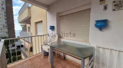 Pis – Benidorm - Vista 4