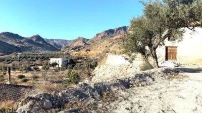 Rustic Finca in Oria photo 16