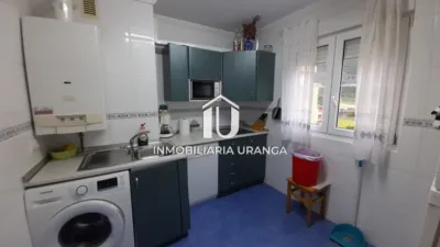 Apartment in Oriñón-Allendelagua photo 5