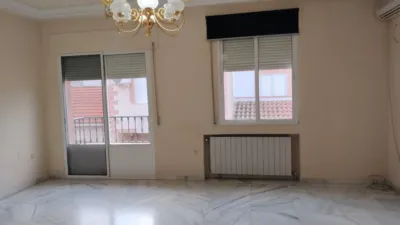Miniatura 12