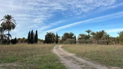 Finca rústica en Matola-La Foia-Las Bayas-La Marina photo 18